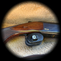 The Gun Safety Award 2025